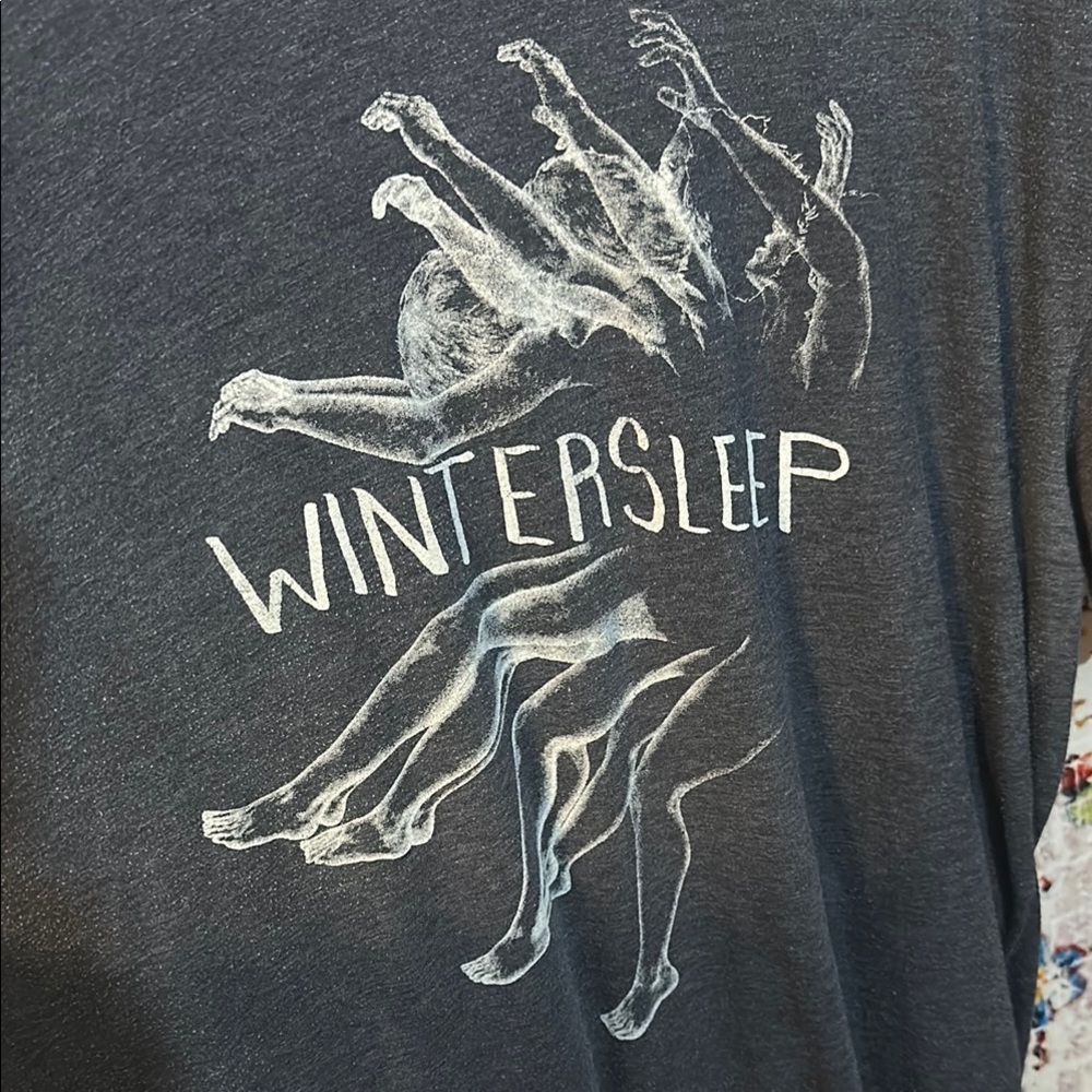 Wintersleep band tshirt - Picture 2 of 3